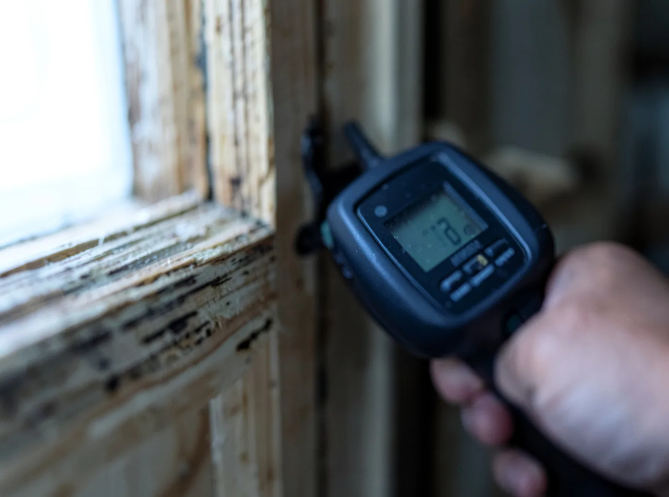 Moisture Inspection And Documentation in Horseshoe Bend, ID